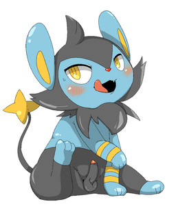 blush bodily_fluids erection genitals male open_mouth penis simple_background solo sweat tongue tongue_out white_background yellow_eyes doneru nintendo pokemon generation_4_pokemon luxio pokemon_(species) 2015