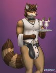 alcohol anthro beverage biped brown_hair bulge cocktail countershade_face countershading genital_outline hair male pina_colada solo tail tongue tongue_out waiter conditional_dnp cracky angelo_(cracky) mammal procyonid raccoon hi_res