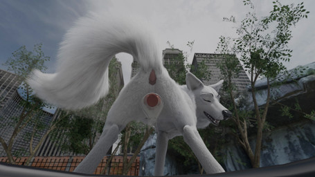 anal_wink animal_genitalia animal_vulva anus bodily_fluids canine_genitalia canine_vulva crouching dildo female feral genital_fluids genitals looking_at_viewer orgasm_contractions orgasm_face raised_tail sex_toy shaking shivering shivering_in_pleasure solo tail vulva redneck_redoubt canid canine canis mammal wolf 16:9 3d_(artwork) 4k absurd_res animated digital_media_(artwork) hi_res high_framerate no_sound short_playtime video widescreen
