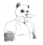 anthro big_muscles black_body black_fur clothing dress_shirt fur male muscular muscular_anthro muscular_male scar shirt solo topwear efradraws beastars gouhin_(beastars) bear giant_panda mammal 2023 absurd_res digital_media_(artwork) hi_res monochrome