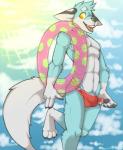 abs anthro balls_outline biceps bulge clothed clothing detailed_bulge genital_outline genitals male muscular muscular_anthro muscular_male pecs penis penis_base penis_outline solo summer topless yellow_eyes spazzyhusky sir_kavalier canid canine fox mammal 2014 digital_media_(artwork) shaded