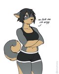 anthro athletic_wear black_clothing breasts clothing crossed_arms ears_down female fluffy fluffy_tail fur grey_body grey_fur looking_away pivoted_ears red_eyes solo tail tan_body tan_fur thick_thighs unimpressed noxu gum_dung_(titania) canid canine canis domestic_dog korean_jindo mammal spitz 4:5 meme