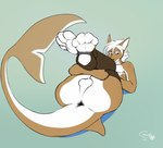 anthro anus backsack balls butt clothing fin genitals hair legs_up legwear looking_at_viewer lying male on_back solo white_hair sinalanf casey_(scoobertmcdoobert) fish marine shark hi_res