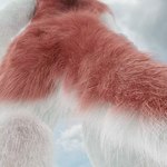 anal anal_vore anal_wink anthro anus butt clitoral_hood clitoris faceless_character faceless_female female female_pred fur genitals multicolored_body multicolored_fur prehensile_clitoral_hood prey_pov pussy solo tail two_tone_body two_tone_fur vore racf92 untied_verbeger sergal_(untied_verbeger) sergal 1:1 3d_(artwork) 3d_animation animated digital_media_(artwork) short_playtime