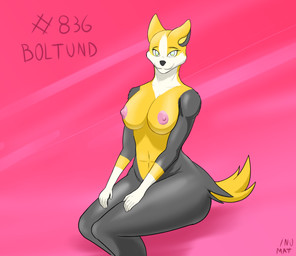 abstract_background anthro breasts female nipples solo unusualmatias nintendo pokemon boltund canid canine generation_8_pokemon mammal pokemon_(species) 2019 absurd_res hi_res