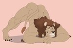 anthro ass_up black_claws black_nose brown_body brown_fur brown_mane butt butt_from_the_front claws fur green_eyes grin handpaw hindpaw jack-o'_pose looking_at_viewer male mane muscular muscular_anthro muscular_male nude nude_anthro nude_male on_ground paws pink_background plantar_flexion pose simple_background smile naschethelion leolex felid lion mammal pantherine