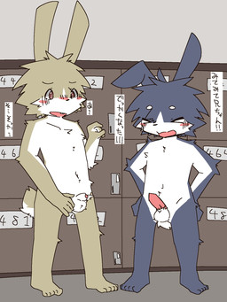 5_fingers 5_toes anthro balls blue_body blue_fur blush dialogue duo ear_flop erection eyes_closed feet fingers front_view fur genitals hands_behind_back head_tuft inside locker_room male male/male multicolored_body multicolored_fur open_mouth penis standing tail tan_body tan_fur text toes tuft two_tone_body two_tone_fur white_body white_fur young ranshinumeda334 lagomorph leporid mammal rabbit 2024 3:4 hi_res japanese_text translated brother_(lore) sibling_(lore)