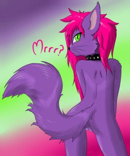 anthro collar fangs female genitals green_eyes hair looking_at_viewer looking_back pink_hair solo studded_collar studs teeth text vulva whiskers young annonymouse domestic_cat felid feline felis mammal absurd_res hi_res