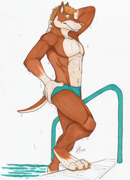 anthro athletic athletic_anthro athletic_male blue_bottomwear blue_clothing bottomwear brown_body brown_fur claws clothed clothing finger_claws fur hair hand_on_hip male male_anthro mouth_closed narrowed_eyes navel orange_claws orange_eyes orange_hair orange_nose orange_pawpads pawpads short_hair simple_background solo swimming_pool toe_claws topless wet wet_body wet_fur white_background white_body white_fur hufnaar canid canine canis domestic_dog mammal 2019 dated hi_res traditional_media_(artwork)