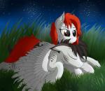 absurd_res brown_eyes detailed_background duo equid equine eyelashes fan_character feathered_wings feathers female feral grass hair hasbro hi_res hooves male mammal my_little_pony mythological_creature mythological_equine mythology orangejuicerus pegasus plant sky star starry_sky white_body white_feathers wings