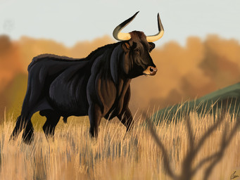 brown_body brown_fur feral field fur grass grassland horn male plant quadruped short_fur solo agustindiazart aurochs bovid bovine mammal recently_extinct_species 2023 4:3 hi_res