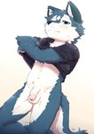 anthro balls blush bodily_fluids bottomless bottomless_anthro bottomless_male clothed clothing embarrassed foreskin fur genitals hair humanoid_genitalia humanoid_penis kemono looking_at_viewer male male_anthro navel penis realistic_penis_size shirt solo sweat sweatdrop t-shirt tail topwear topwear_lift undressing betsuto canid canine canis mammal wolf 2025 digital_media_(artwork) hi_res