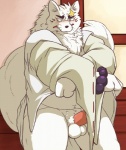 anthro asian_clothing balls beads big_penis biped black_nose blush clothed clothing east_asian_clothing erection fur genitals inside japanese_clothing kimono looking_away male muscular muscular_anthro muscular_male penis pose scar slightly_chubby solo standing undressing white_body white_fur thegreatmatsutzu gingitsune gintaro canid canine fox mammal 2013