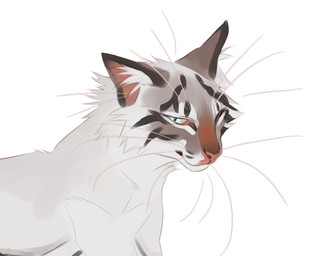 ambiguous_feral ambiguous_gender blue_eyes cheek_tuft facial_tuft feral fur head_tuft inner_ear_fluff looking_at_viewer mouth_closed pupils red_inner_ear red_nose side_view simple_background slit_pupils solo tuft whiskers white_background white_body white_fur white_inner_ear_fluff justkiddinb domestic_cat felid feline felis mammal