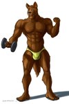 2017 5_fingers 5_toes abs anthro big_chest big_muscles bottomwear broad_shoulders brown_body brown_eyes brown_fur bulge canid canine canis claws clothed clothing exercise facial_piercing feet fingers fur humanoid_feet male mammal muscular muscular_anthro muscular_male navel nipples nose_piercing nose_ring pecs piercing plantigrade ring_piercing sampsonwoof serratus signature simple_background snaggle_tooth solo standing tail tight_underwear toe_claws toes underwear underwear_only weightlifting white_background wolf workout