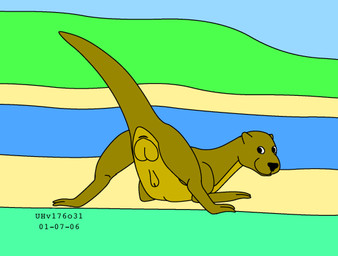 animal_genitalia anus balls brown_body brown_fur butt day feral fur genitals grass looking_at_viewer looking_back looking_back_at_viewer male nude_male otter_tail outside plant presenting presenting_hindquarters river riverside sand sheath sky smile smiling_at_viewer solo toony water urbanhermit mammal mustelid otter 2001 dated