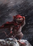 5_fingers anthro brown_eyes cloak clothing fastener fingers fur grey_body grey_fur holding_object holding_weapon hood male melee_weapon nail nut_(hardware) pin_(fastener) rock rope safety_pin snow solo standing weapon whiskers kenket mammal mouse murid murine rodent 2018 painting_(artwork) traditional_media_(artwork) traditional_painting_(artwork)