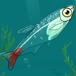 air_bubble algae ambiguous_gender dorsal_fin feral fin pectoral_fin solo tail tail_fin translucent translucent_body underwater water flamingpickle aquatic characiform fish glass_bloodfin_tetra tetra_(fish) 1:1 2025 digital_media_(artwork)