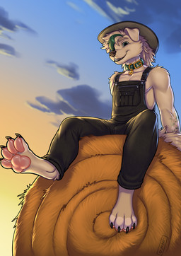 anthro arm_tattoo barefoot clothing collar cowboy_hat feet floppy_ears fur green_eyes green_highlights hat hay hay_bale headgear headwear highlights_(coloring) male outside overalls overalls_only pawpads pink_pawpads sky smile smiling_at_viewer solo tail tan_body tan_fur tattoo lizardfail biscuit_(havocwulf) bird_dog canid canine canis domestic_dog golden_retriever hunting_dog mammal retriever absurd_res hi_res