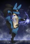 anthro balls bottomwear clothing electricity fur genitals lightning male outside pants penis red_eyes sky solo star v-d-k nintendo pokemon canid canine generation_4_pokemon lucario mammal pokemon_(species) 2017 absurd_res hi_res