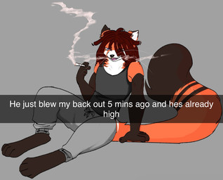 anthro big_tail bottomwear clothing dreadlocks drugs fur hair male marijuana muscular orange_body orange_fur pants red_hair shirt smoking solo sweatpants tail tank_top text topwear whisker_spots white_body white_fur pierre_(palmtrees) ailurid mammal red_panda english_text