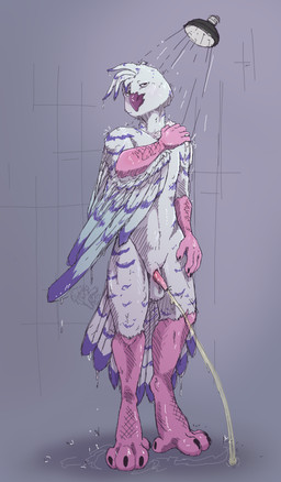 animal_genitalia anthro avian_feet balls bathing beak blush bodily_fluids brown_eyes claws digitigrade dripping dripping_wet feathered_wings feathers feet fingers genital_fluids genitals half-closed_eyes half-erect looking_up male mouth_closed multicolored_body multicolored_feathers multicolored_tail narrowed_eyes nude peeing peeing_in_shower penis pink_body pink_skin shower showering simple_background smile smirk soap solo standing_pee steam suds tail toes urine urine_stream vapor water watersports wet white_body white_feathers wings veryloudopossum avian bird horned_owl owl snowy_owl true_owl absurd_res hi_res