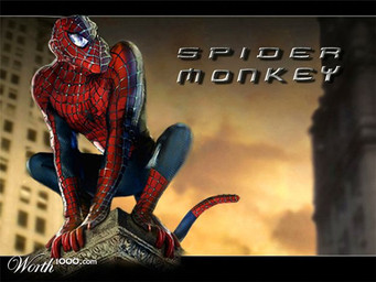 anthro humor male pun real solo tail ccz third-party_edit marvel spider-man_(series) worth1000 spider-man_(character) haplorhine mammal monkey primate 4:3 grandfathered_content photo_manipulation photomorph