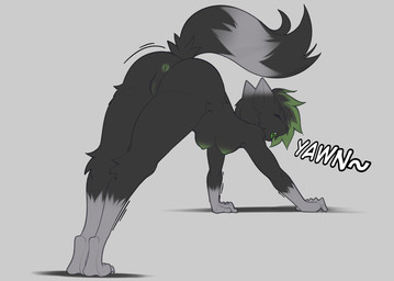 anthro anus black_body black_fur black_hair breasts female fur genitals green_anus green_hair green_nipples green_vulva grey_body grey_fur hair hanging_breasts nipples open_mouth presenting presenting_anus presenting_vulva small_breasts solo stretching tongue vulva yawn moonfluffmf domestic_cat felid feline felis mammal hi_res sketch