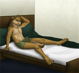 anthro bed bedroom boxers_(clothing) bulge clothed clothing erection erection_under_clothing furniture hair male solo tenting underwear unknown_artist canid canine mammal source_request