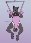 absurd_res ageplay annoyed anthro arms_tied baby_bouncer bdsm black_body black_fur black_nose black_pawpads blush bodily_fluids bondage bondage_gear bondage_gloves bound breasts canid canine canis clothed clothing collar cuff_(restraint) diaper diaper_only domestic_dog dutch_shepherd embarrassed feet female floofnfluff forced fur gag genital_fluids handwear helpless herding_dog hi_res infantilism jasmine_(draugr) looking_at_viewer mammal object_in_mouth pacifier pacifier_gag pacifier_in_mouth pastoral_dog pawpads paws restraints roleplay sheepdog signature solo suspension suspension_bondage tail tail_between_legs toes topless urine wet_diaper wetting white_diaper