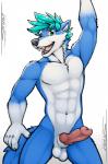 abs animal_genitalia animal_penis anthro athletic balls bangs belly biceps black_nose blue_body blue_eyes blue_fur blue_hair canine_genitalia canine_penis clothing countershade_torso countershading ear_tuft erection fangs fluffy fur genitals gloves_(marking) green_eyes green_hair hair knot looking_at_viewer male markings muscular muscular_anthro muscular_male nude open_mouth pecs penis presenting presenting_penis raised_arm sheath slim smile solo teeth tuft white_balls white_belly white_body white_countershading white_fur tsaiwolf vance_(istricer) canid canine canis mammal wolf hi_res