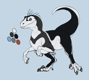 ambiguous_feral ambiguous_gender biped black_body black_tail blue_background blue_eyes claws color_swatch feral glistening glistening_eyes grey_body looking_at_viewer mouth_closed sickle_claw side_view simple_background solo tail toe_claws white_body white_tail roobin dinosaur dromaeosaurid prehistoric_species reptile saurischian scalie theropod absurd_res hi_res model_sheet