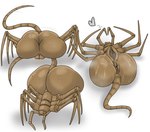 6_legs anus big_butt bodily_fluids brown_body butt clitoris female female_feral feral genitals heart_symbol legs_up mandibles motion_lines multiple_poses not_furry parasite pose presenting presenting_anus presenting_hindquarters presenting_pussy puffy_anus pussy shadow simple_background solo spread_legs spreading sweat tail tail_motion tailwag vein veiny_butt what what_has_science_done where_is_your_god_now white_background why japansadface alien_(franchise) alien arthropod facehugger