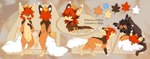 brown_body brown_fur duo ear_tuft fur hair orange_body orange_fur red_hair solo_focus tan_body tan_fur text tuft reysi ilpion_(hyilpi) canid canine fennec_fox fox mammal true_fox 2020 absurd_res artist_name english_text hi_res model_sheet