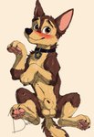 animal_genitalia feral genitals male sheath solo young young_male bedbug_(artist) paw_patrol chase_(paw_patrol) canid canine canis domestic_dog german_shepherd herding_dog mammal pastoral_dog hi_res