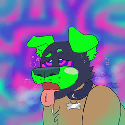ahegao ambiguous_gender animal_mask anthro bdsm bodily_fluids bubble collar drooling female hypnosis looking_pleasured male mask mind_control petplay pup_mask puppyplay roleplay saliva solo steam river_zephir canid canine canis domestic_dog mammal 1:1