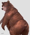 balls belly black_nose brown_body brown_fur butt feral fur genitals kemono male overweight overweight_male simple_background solo hijirinoyuta bear mammal 2021 hi_res