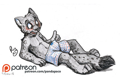 anthro black_nose blush boxers_(clothing) clothed clothing dipstick_tail fur grey_body grey_fur head_tuft logo lying male markings on_back open_mouth patreon_logo simple_background solo spots spotted_arms spotted_legs spotted_markings spotted_tail tail tail_markings topless tuft underwear white_background young young_anthro young_male pandapaco patreon felid mammal 2016 artist_logo dated signature