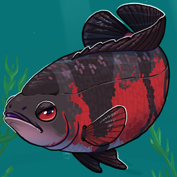 ambiguous_gender dorsal_fin feral fin scales solo tail tail_fin translucent_fin underwater water flamingpickle aquatic cichlid fish oscar_(fish) 1:1