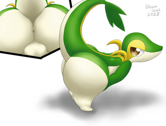 anthro anus balls big_butt brown_eyes butt curvy_figure genitals green_body leaf leaf_tail male multicolored_body simple_background solo tail tan_body white_background wide_hips yellow_body drain_scat nintendo pokemon generation_5_pokemon pokemon_(species) snivy 2025 absurd_res hi_res
