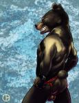 abstract_background anthro backsack balls black_body black_fur butt butt_pose clothed clothing clothing_pull fur genitals grin jockstrap looking_at_viewer looking_back male muscular muscular_anthro muscular_male naughty_face perineum pose rear_view sharp_teeth smile solo teeth topless underwear underwear_pull dbruin american_black_bear bear black_bear mammal ursine digital_media_(artwork) portrait signature three-quarter_portrait