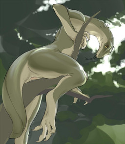 ambiguous_gender animal_genitalia anthro brown_eyes cloaca forest genitals green_body green_skin kemono looking_at_viewer nude plant solo tongue tongue_out tree kikurage lizard reptile scalie 2018 digital_media_(artwork) shaded