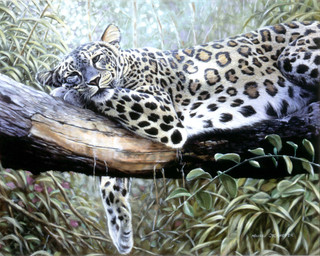 ambiguous_gender feral grey_eyes leaf photorealism plant realistic solo tree whiskers wildartguy felid leopard mammal pantherine detailed hi_res oil_painting_(artwork) painting_(artwork) traditional_media_(artwork) traditional_painting_(artwork)