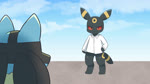 anthro blush breasts brown_body clothed clothing duo featureless_crotch female male mostly_nude nude open_clothing open_shirt open_topwear red_eyes shirt small_breasts smile topwear sum nintendo pokemon eeveelution generation_2_pokemon generation_4_pokemon lopunny lucario pokemon_(species) umbreon animated hi_res webm