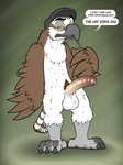 4_toes anisodactyl anthro balls beak big_penis bottle brown_body brown_feathers brown_pubes bubble cere_(anatomy) cheek_tuft clothed clothing container drunk drunk_bubble facial_tuft feather_hands feathered_wings feathers feet flat_cap foreskin front_view genitals gradient_penis green_background grey_beak hat hat_only headgear headgear_only headwear headwear_only holding_bottle holding_container holding_object humanoid_genitalia humanoid_penis long_penis looking_at_viewer male male_anthro mostly_nude narrowed_eyes partially_retracted_foreskin penis pubes scuted_feet scutes simple_background solo speech_bubble squint standing striped_feathers substance_intoxication tail tail_feathers talking_to_viewer text toes tuft white_body white_feathers wings yellow_sclera dracovar_valeford valeford accipitriform avian bird osprey 2021 absurd_res alternate_version_at_source english_text full-length_portrait hi_res portrait