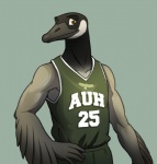 5_fingers anthro basketball basketball_uniform beak biceps biped black_body bottomwear brown_eyes clothing collarbone competition_number feathers fingers green_background green_bottomwear green_clothing green_pants green_shirt green_sleeveless_shirt green_topwear grey_beak grey_body grin hand_on_hip jersey male muscular muscular_anthro muscular_male number number_on_clothing number_on_jersey number_on_topwear number_print pants pecs pose print_clothing print_jersey print_topwear shirt shorts simple_background sleeveless_shirt smile solo sport sportswear standing tank_top text text_on_clothing text_on_jersey text_on_topwear text_print topwear uniform vest pac fba edwin_griega anatid anseriform anserinae avian bird canada_goose goose