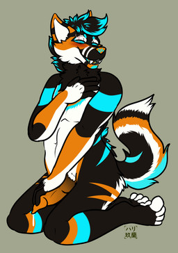 animal_genitalia animal_penis anthro canine_genitalia canine_penis fondling genitals happy male penis reward rubbing self_care self_fondle solo touching_chest touching_penis touching_self patreon canid canine canis mammal wolf absurd_res hi_res