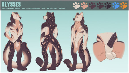 animal_genitalia animal_penis anthro balls canine_genitalia canine_penis digitigrade erection feline_genitalia feline_penis genitals male nude penis sheath smile solo standing text themutt canid canine canis felid hybrid leopard mammal pantherine wolf english_text model_sheet