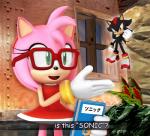 3d_(artwork) accessory amy_rose anthro book bracelet clothed clothing dialogue digital_media_(artwork) dress duo english_text eulipotyphlan eyewear female glasses gloves green_eyes hair_accessory hairband handwear hedgehog hi_res is_this_a_pigeon japanese_text jewelry male mammal meme nibroc-rock official_art sega shadow_the_hedgehog sonic_the_hedgehog_(series) subtitled text the_brave_fighter_of_sun_fighbird