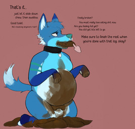 anthro belly big_belly blue_body blue_fur collar collar_only dialogue eating_feces feces feces_in_mouth feces_on_balls feces_on_belly feces_on_body feces_on_chest feces_on_face feces_on_feet feces_on_genitals feces_on_ground feces_on_hand feces_on_leg feces_on_penis feces_pile feet fur genitals inflation male navel nude nude_male penis scat_inflation scatplay solo text toilet_slave weight_gain hydys_kithe adonai canid canine fox mammal english_text